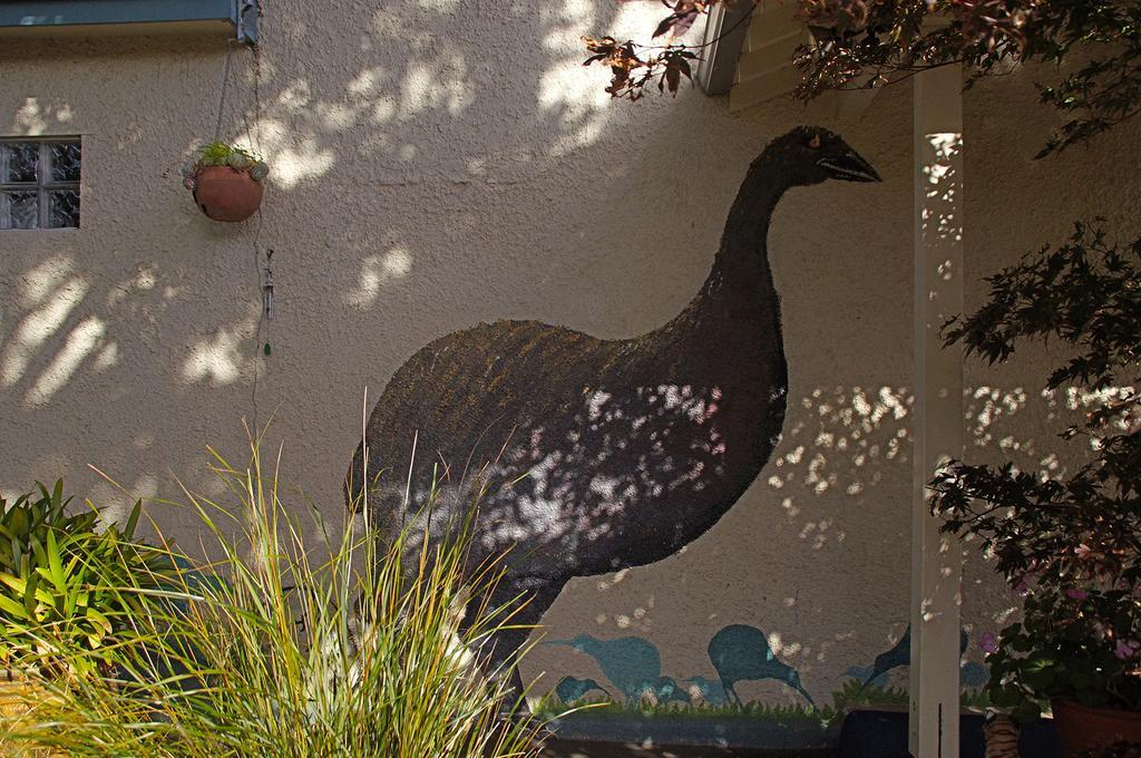 Arden Street House Panzió Dunedin Kültér fotó