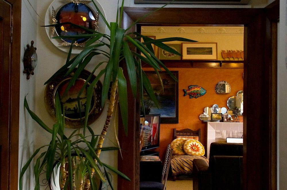 Arden Street House Panzió Dunedin Kültér fotó