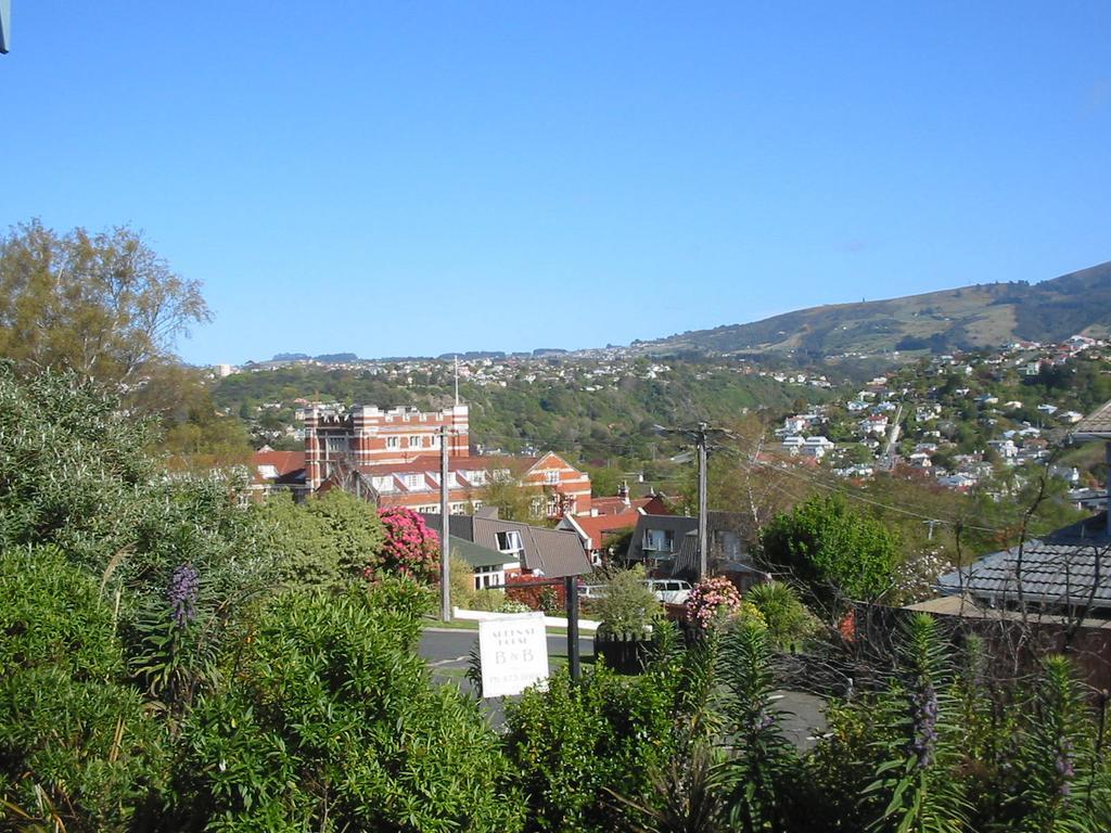 Arden Street House Panzió Dunedin Kültér fotó