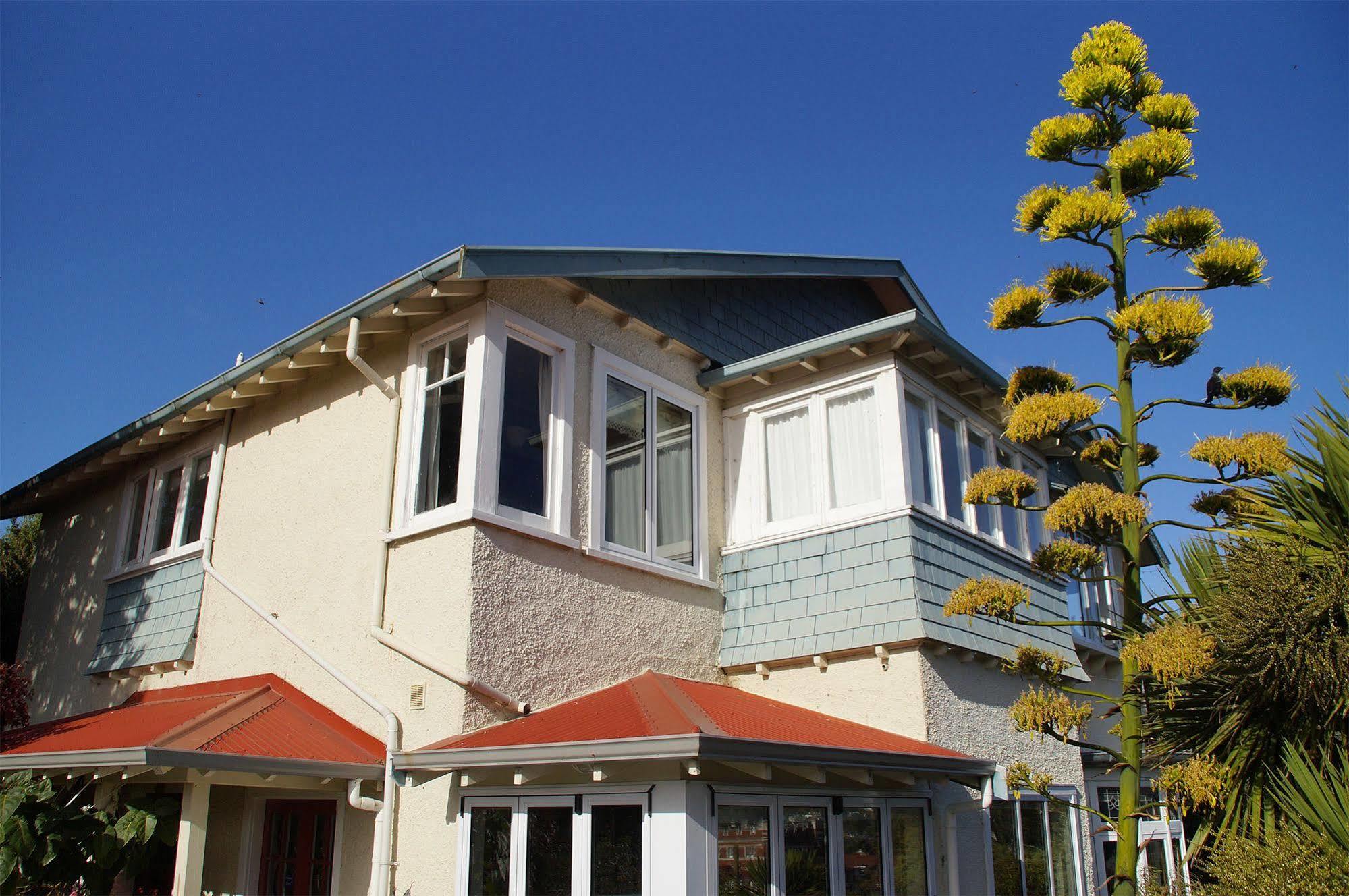 Arden Street House Panzió Dunedin Kültér fotó