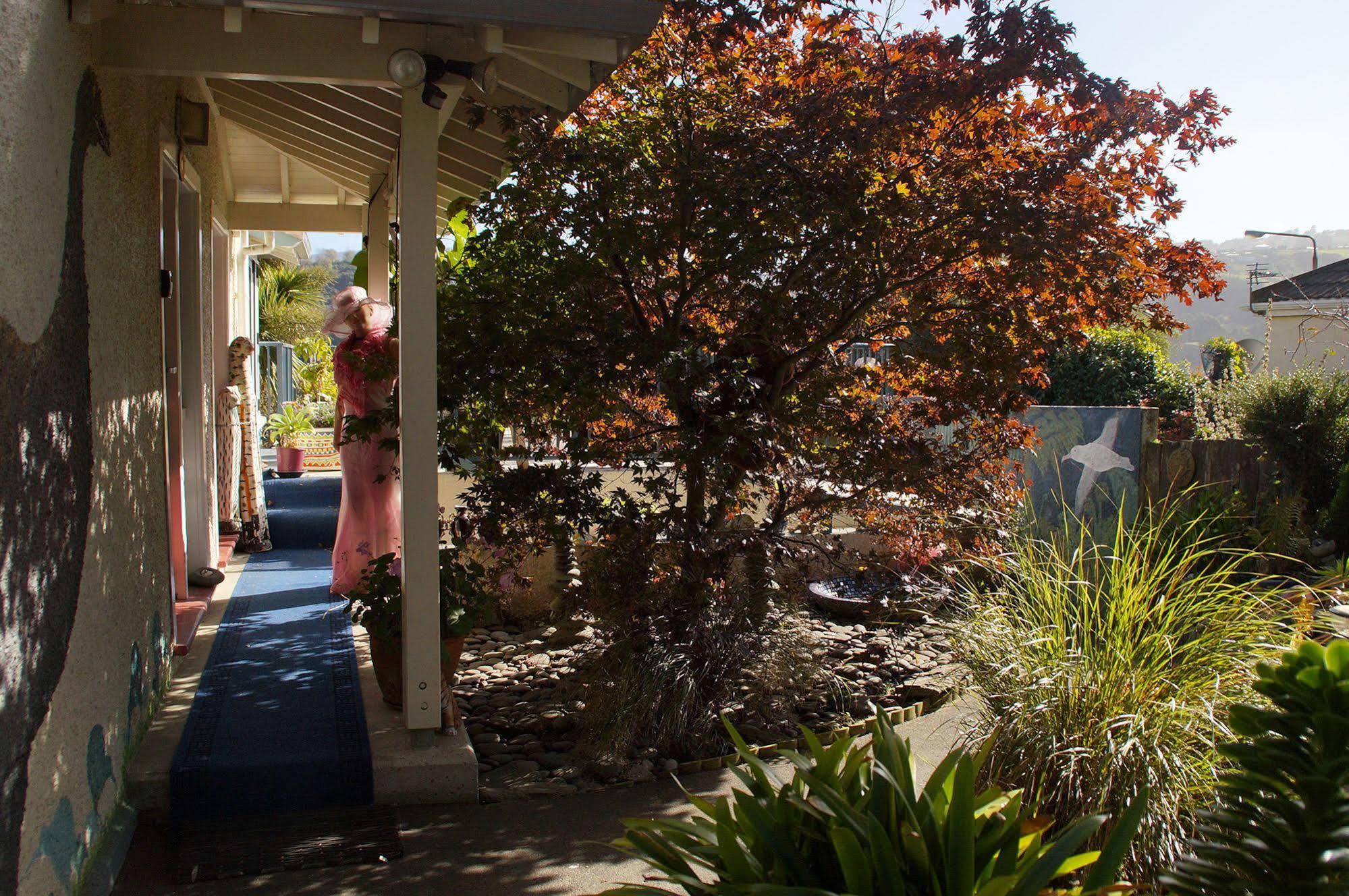 Arden Street House Panzió Dunedin Kültér fotó